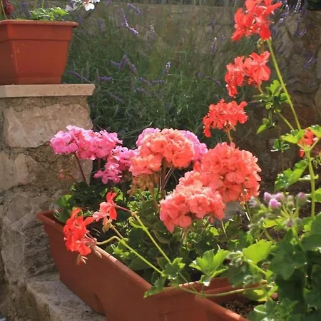 With A Parking Space Apartman *