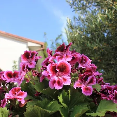 With A Parking Space *