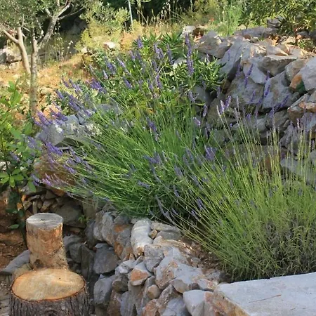 With A Parking Space